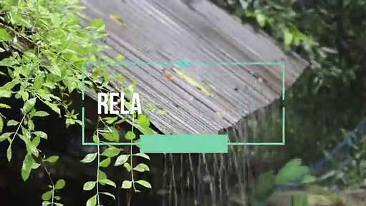 RELAX VIDEO FOR A MOMENT IN THE RAIN