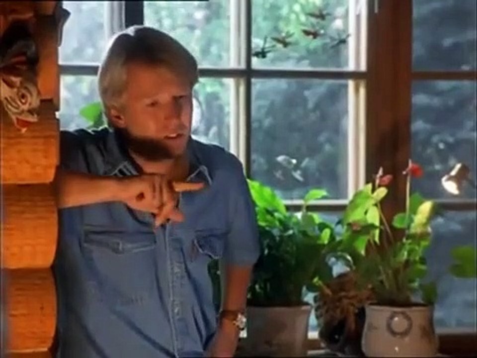 Kaisermühlen Blues Staffel 5 Folge 2 HD Deutsch