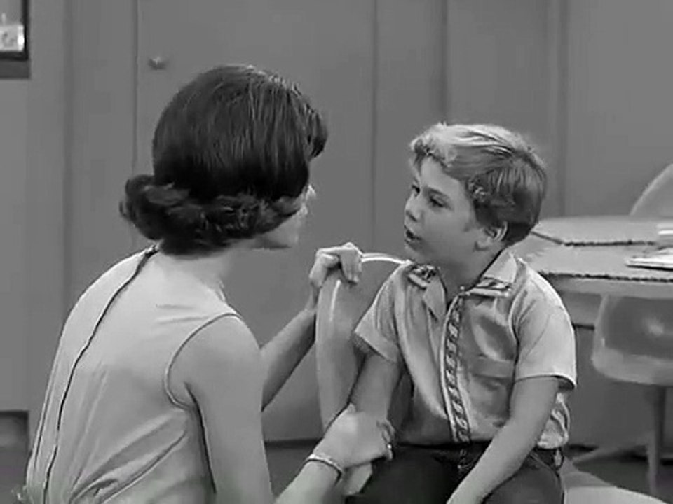 The Dick Van Dyke Show - Se1 - Ep10 HD Watch HD Deutsch