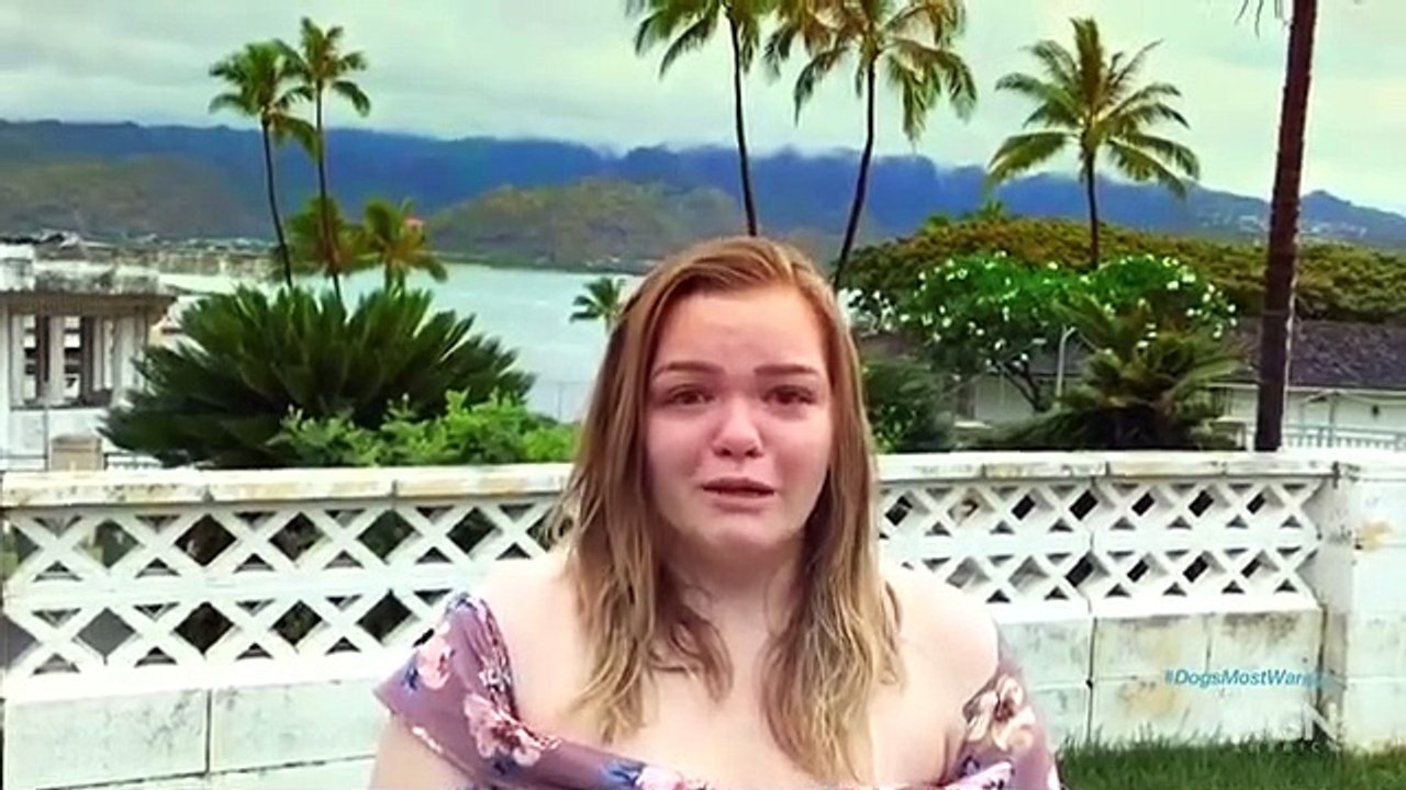 Dog's most wanted - se1 - ep10 - farewell to a queen hd watch hd deutsch