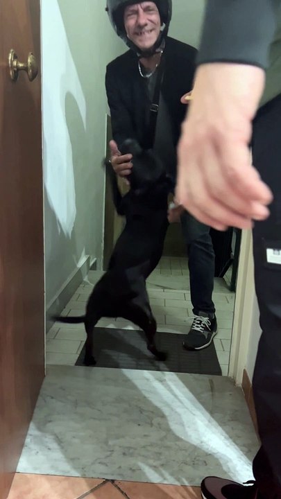 Dog Loves the Pizza Delivery Guy