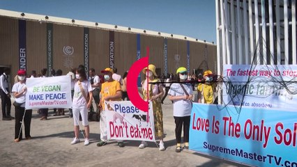 VIDEO: Vegan activists protest on the first day of COP27 in Egypt