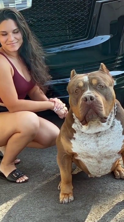 Respect for dogs 