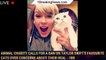 Animal charity calls for a ban on Taylor Swift's favourite cats over concerns about their heal - 1br