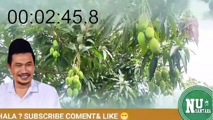 tanda tanda akhir zaman