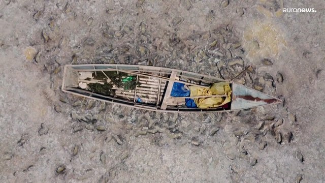 El Niño und Klimawandel: Plötzlich trocknete der Poopó-See aus