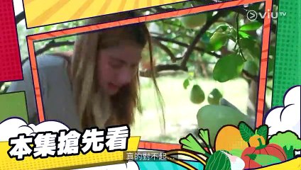 【4K修復】《料理農務系》EP01｜台南麻豆文旦 (I)