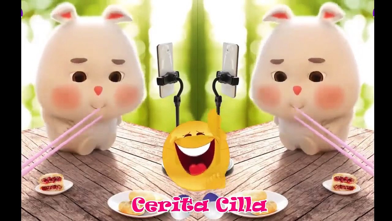 Super Cute Fat Rabbit Compilation
