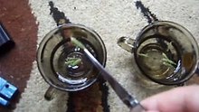 Oxalis seed pods exploded in water with cling wrap added on top of coffee glass