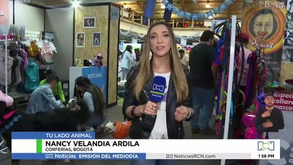 Así se vivió la jornada de esterilización en las instalaciones de la Fuerza Naval del Sur