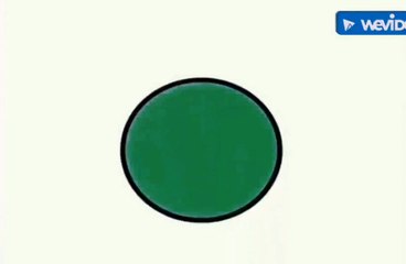 So Smart! Shapes: Cecil the Circle Part 6 - Turtle