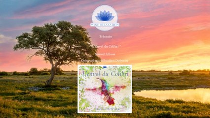 Présentation album L'envol du Colibri - Sébastien Duboscq - Sortie novembre 2022