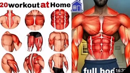 Full body workout at home _ home  _ no equipment workout at home