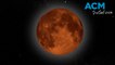 Total lunar eclipse: How to watch the blood moon on November 8, 2022