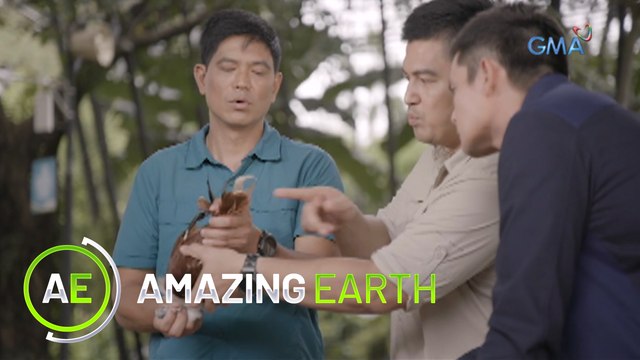 Amazing Earth: Saving animals with Doc Ferds Recio and Doc Nielsen Donato