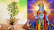Kartik Purnima 2022 : कार्तिक पूर्णिमा के दिन तुलसी पूजा क्यों की जाती है | Boldsky *Religious