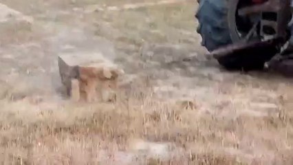 pakistani_new_jugaad#pakistani#jugaad(360p)