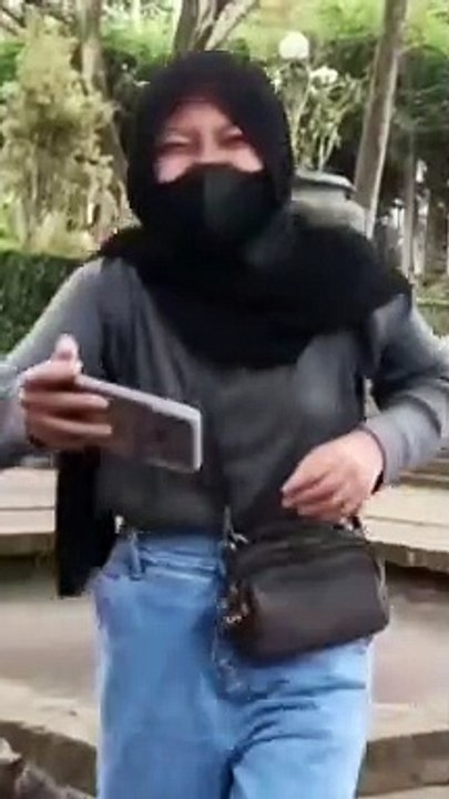 Top Viral Cats Clips Best funny Cute Cats shorts Video trending animals