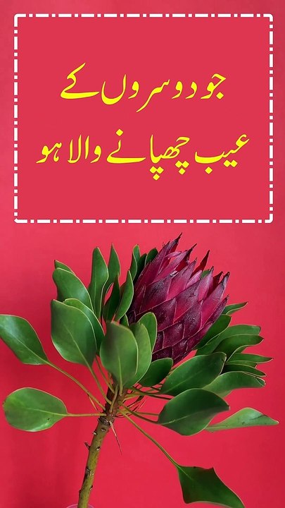 Dosti K Qabil