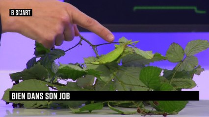 SMART JOB - Bien dans son job du lundi 7 novembre 2022