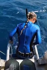 Une femme tente de plonger dans l'eau au moment où un requin montre son nez