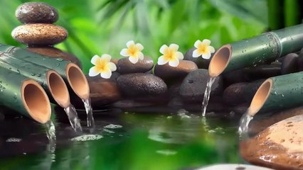  Beautiful Relaxing Music • Peaceful Piano Music • Water Music & Bird Music | Meditation