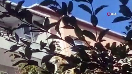 İstanbul'da eli silahlı maganda dehşeti!