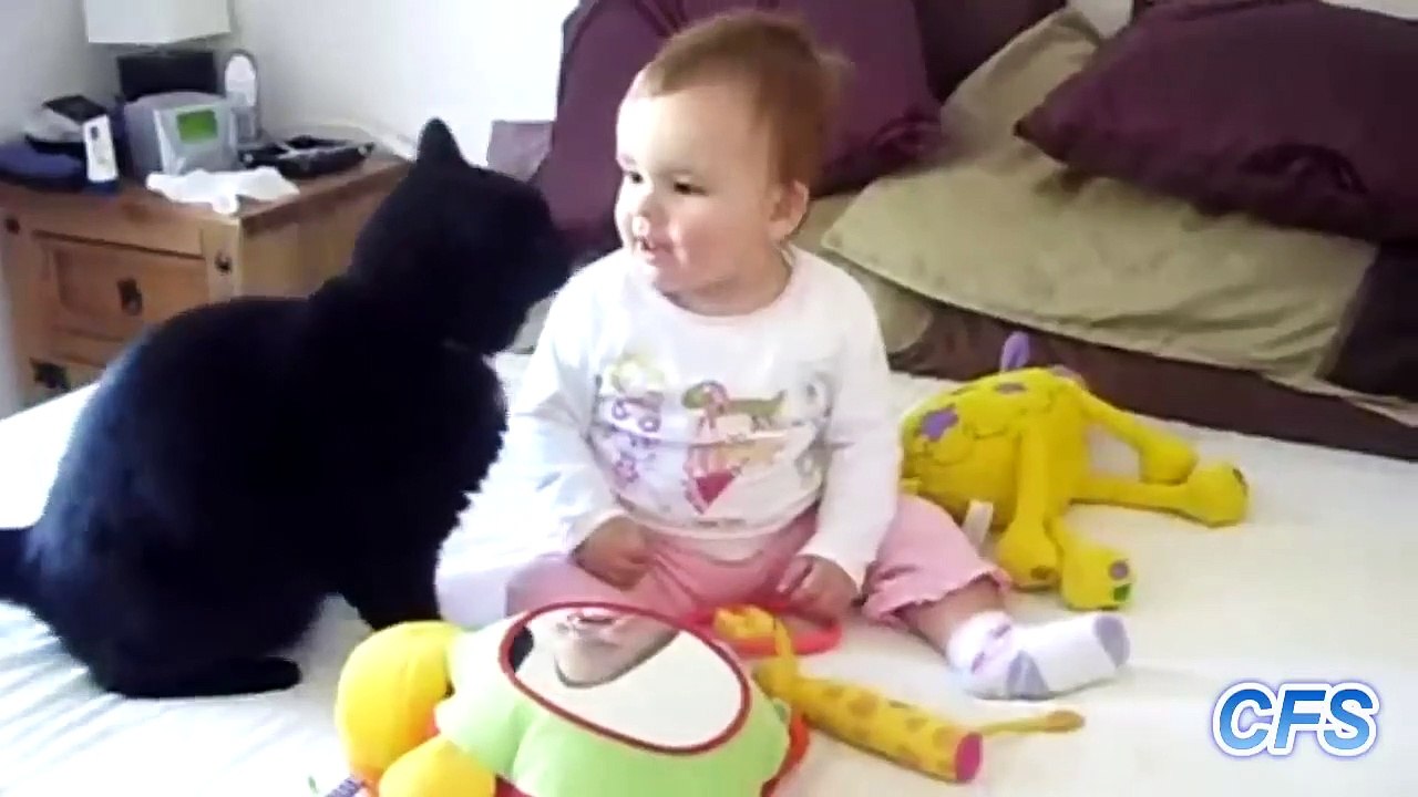 Cats Love Babies