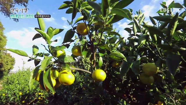 한국기행 - 맨도롱 또똣, 제주도 1부- 마이클, 제주 어떵 하우꽈?_#002