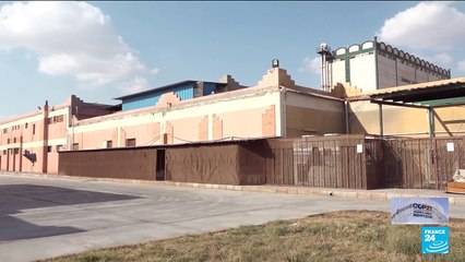 COP27 : l'Égypte mise sur l'énergie solaire