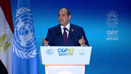 السيسي يناشد روسيا وأوكرانيا وقف الحرب