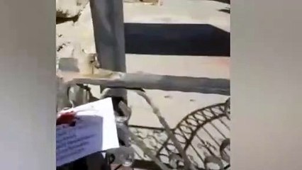 Dönemin ortasında okul mühürlendi öğrenciler ortada kaldı