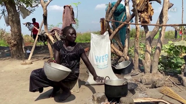 Millions in South Sudan at risk of severe hunger - U.N.