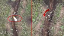 Cephe hattında akılalmaz görüntü! Rus asker, İHA'nın attığı bombaları elleriyle tek tek yok etti