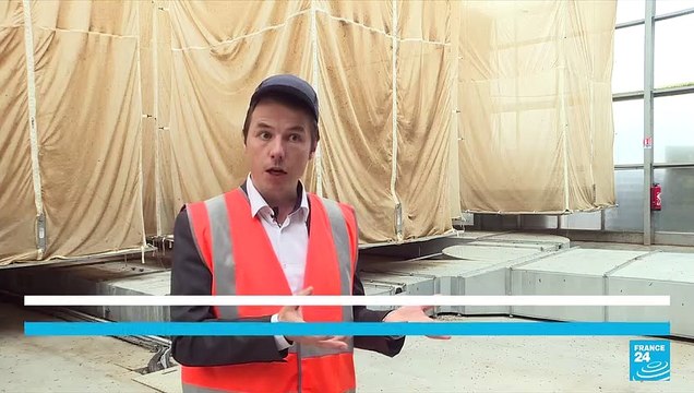 Farm in nothern France products insect-based products for animal feed