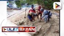 P18-M halaga ng fossilized giant clam shell, inabandona sa dalampasigan ng Dumaran, Palawan