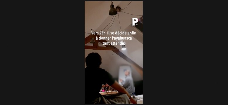 Prise d'ayahuasca et tabac dans les narines : notre nuit chez Inner Mastery