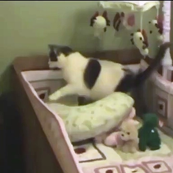 laundry trap video Dailymotion