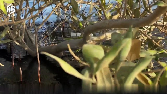 The COP27 discussions now include climate compensation