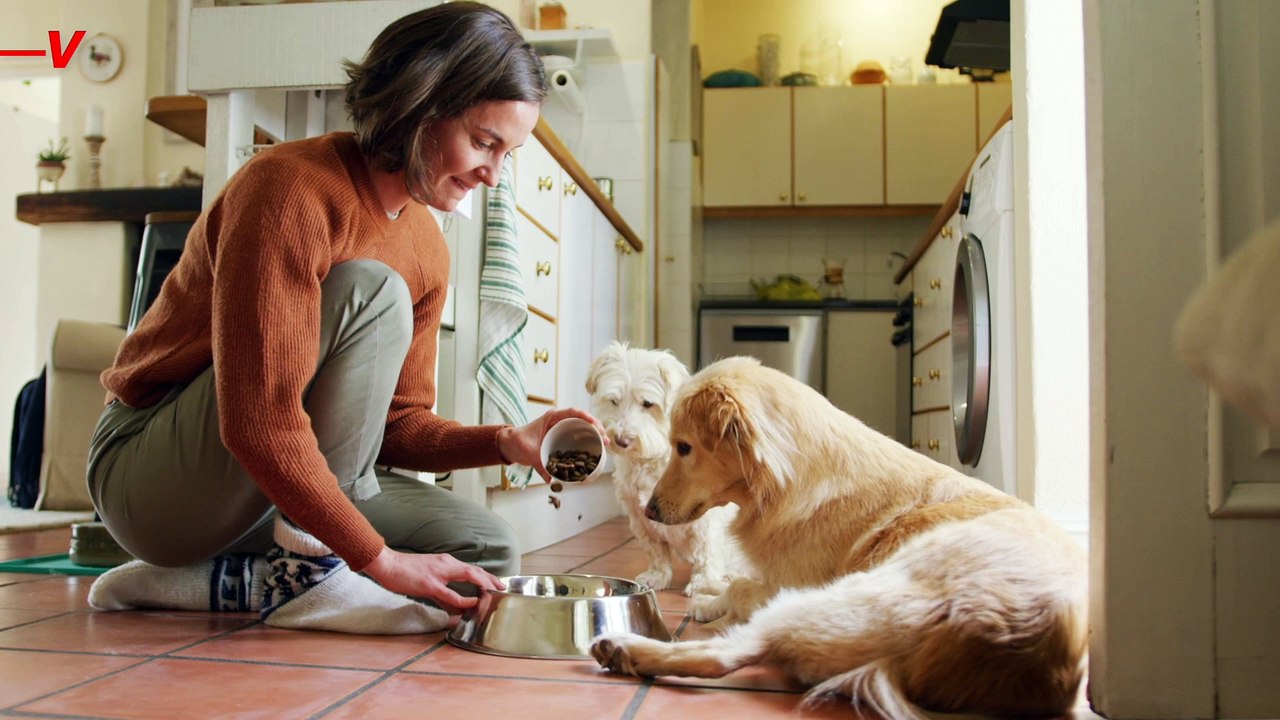 ‘Forever Chemicals’ Found in Children’s Products and Pet Food Packaging