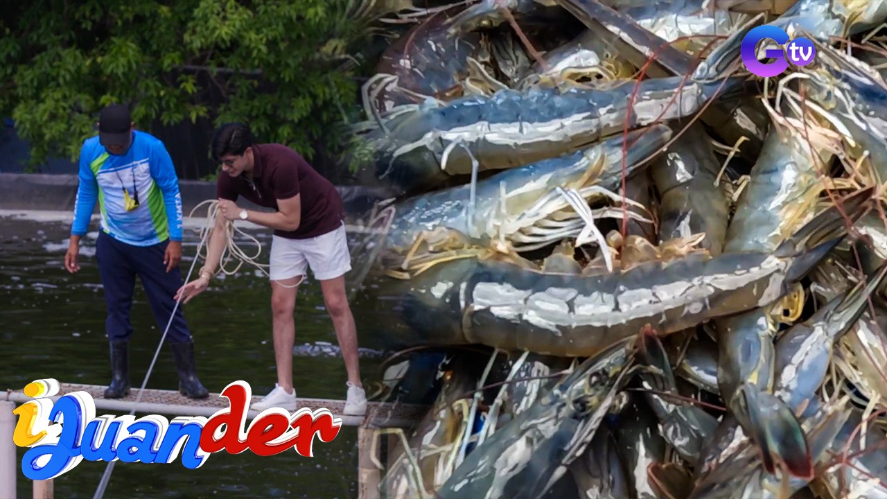 Anjay Anson, nanghuli ng hipon sa Zambales! | I Juander