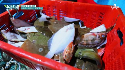 되돌아온 배 위의 인생! 기다렸다는 듯이 올라오는 도다리!