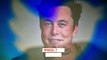 Un giorno nella vita di Elon Musk: cos'è la sua regola dei 5 minuti