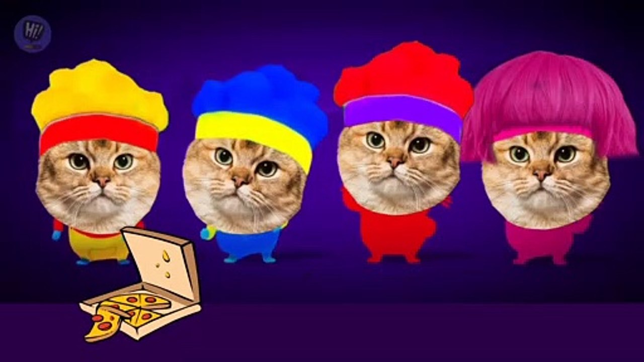 The cat sings pizza donut hamburger and spaghetti