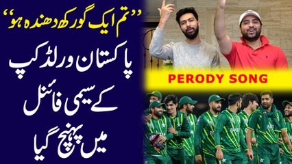 “Tum ik gorakh dhanda ho”  Pakistan World Cup k semi final mei pohanch gya…