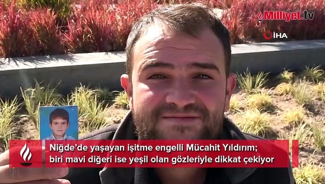 Bir gözü mavi, bir gözü yeşil! Onu gören bir daha bakıyor