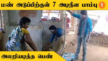 Snake Caught | மண்பாண்டம் செய்பவர்கள் வீட்டிற்குள் புகுந்த சாரைப்பாம்பு
