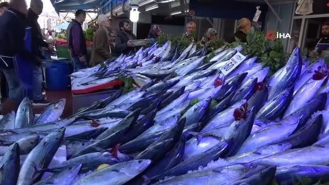 Balık tezgahları palamut ve hamsiyle doldu