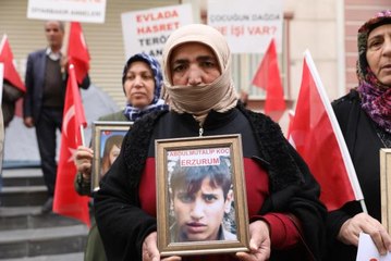 Diyarbakır annelerinin oturma eylemine bir aile daha katıldı