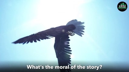 A Powerful Story About Rising Above Negativity (THE EAGLE and CROW)